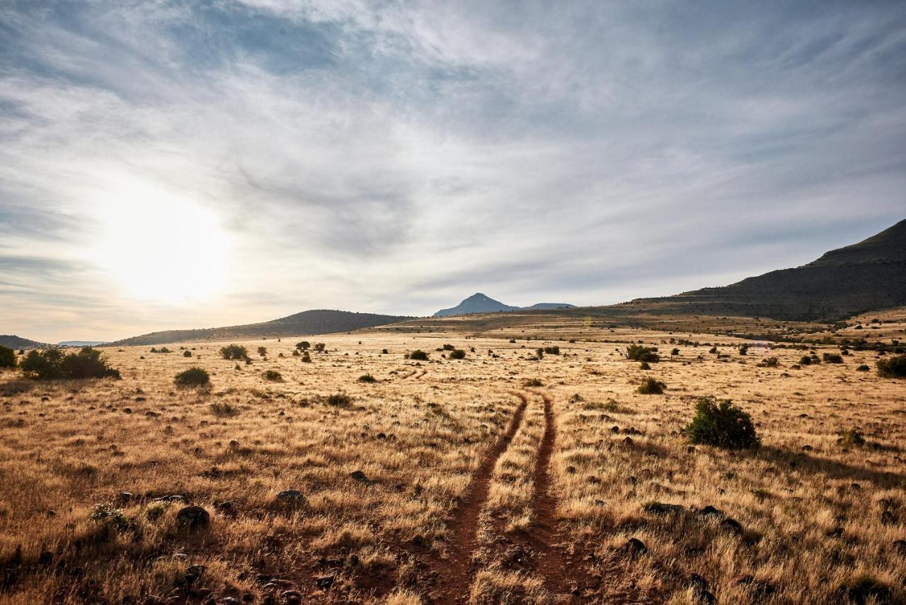 Glen Harry Game Reserve Ґраафф-Рейнет Екстер'єр фото