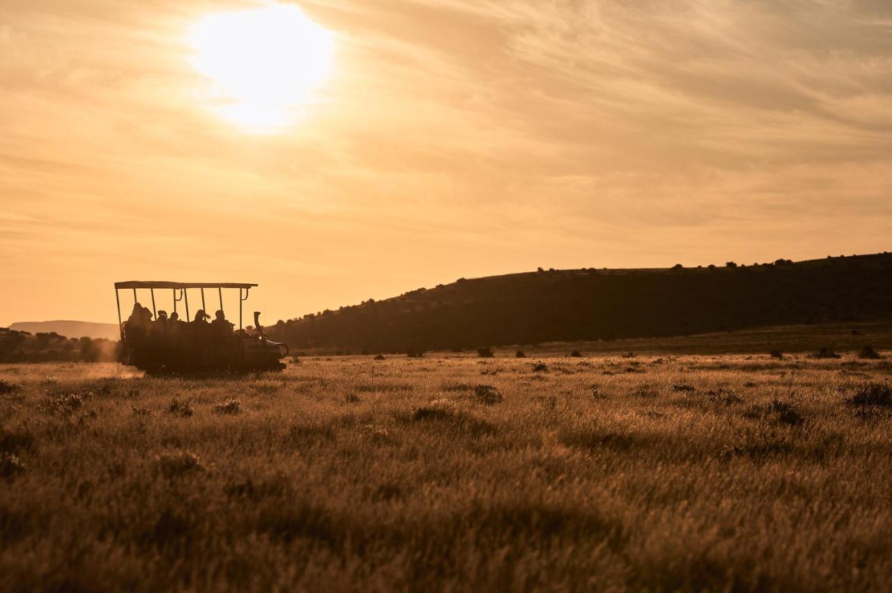 Glen Harry Game Reserve Ґраафф-Рейнет Екстер'єр фото